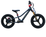 TAKANI 350W Electric Balance Bike 16'' Matte Charcoal