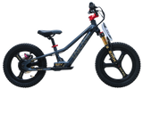 TAKANI 350W Electric Balance Bike 16'' Matte Charcoal